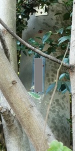 こんなところにも.jpg