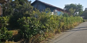 更地渡し.jpg