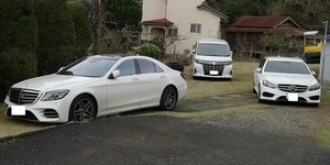 白い車多いな.jpg