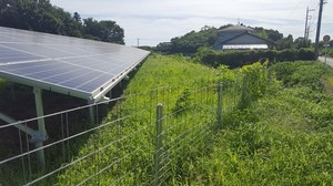 草刈りしないと.jpg