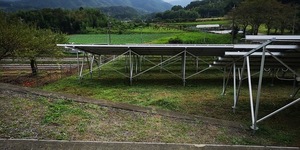 草刈り後1.jpg