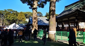 IMG_20190103_102150.jpg