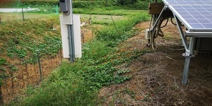 A草kリ前1.jpg