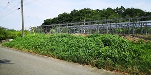 C前.jpg