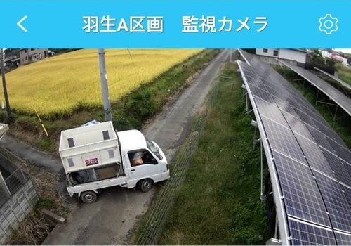 あたりそう.jpg