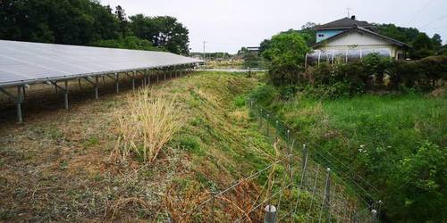 フェンス除草剤.jpg