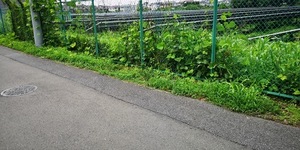 作業前.jpg