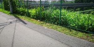 作業後.jpg
