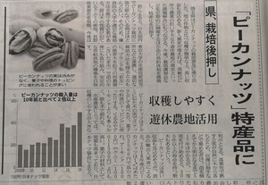 埼玉名産になるか?.jpg