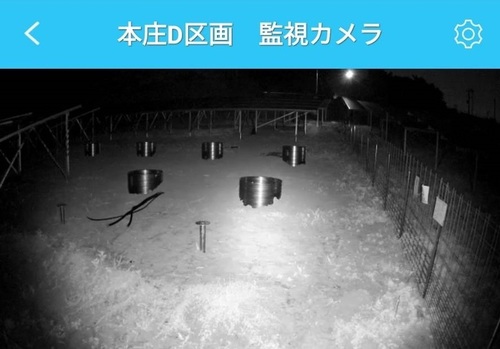 夜間.jpg
