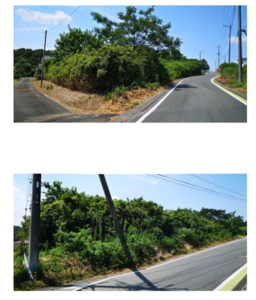 現地の写真.png