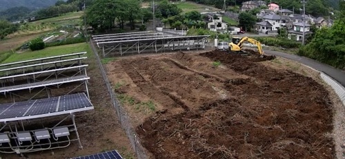 篠竹の除根.jpg