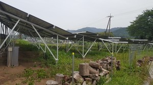 草が凄い.jpg