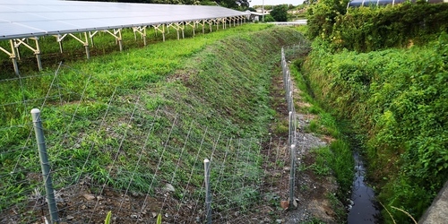 草刈り3.jpg