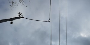 道路に寝てみた.jpg