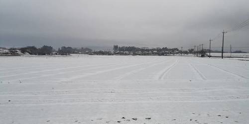 雪模様.jpg