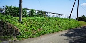 C法面前.jpg