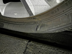 IMG_20191108_183111.jpg