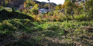 IMG_20191117_142523.jpg